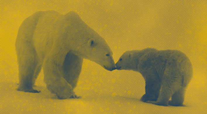 Greenpeace News