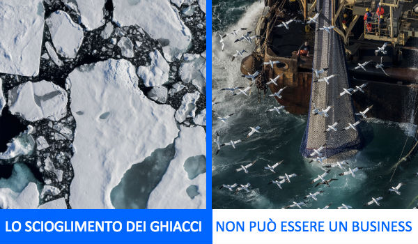 Save The Arctic Greenpeace
