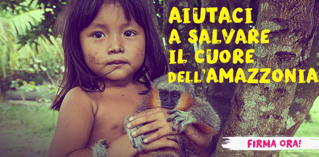 Salviamo il cuore dell'Amazzonia!